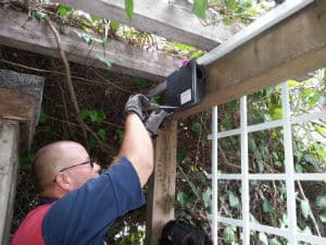 losangelesratexterminator.com worker Carl standing next to a wall filling up a black rodent bait stations, he is wearing a red and blue uniform shirt and wearing black gloves